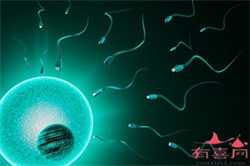 代孕的成功率_孕妇整个孕期都有哪些检查项目