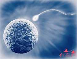 代生宝宝助孕机构有去过吗_继发性子宫内膜异位症有什么表现