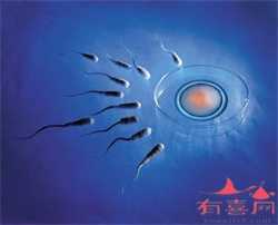 代孕网-代孕生子什么价位-b超能否查出宫外孕